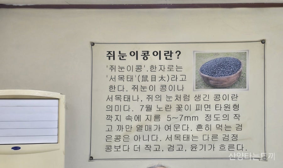 쥐눈이콩마을 사진 4