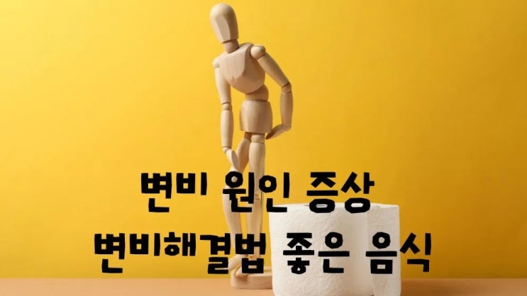  변비 원인 증상 소화과정 변비 해결법 좋은 음식