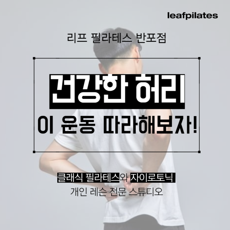  [반포 필라테스] 허리에 좋은 운동 맥켄지운동 코어운동 / 반포필라테스 리프