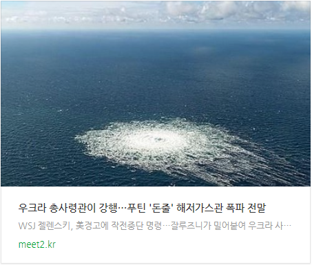 "<b>우크라</b> <b>총사령관</b>이 <b>강행</b>"...푸틴 '돈줄' 해저가스관 폭파 전말