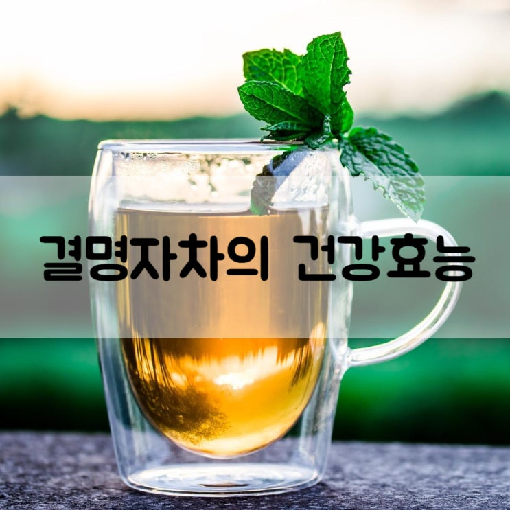  눈에 좋은 결명자차를 자주 마시면 좋은 이유