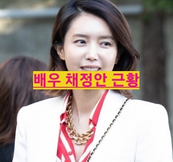  채정안 현무카세 셀프 워터밤 목걸이 영양제 크림 가방 팬츠 민소매 나무위키