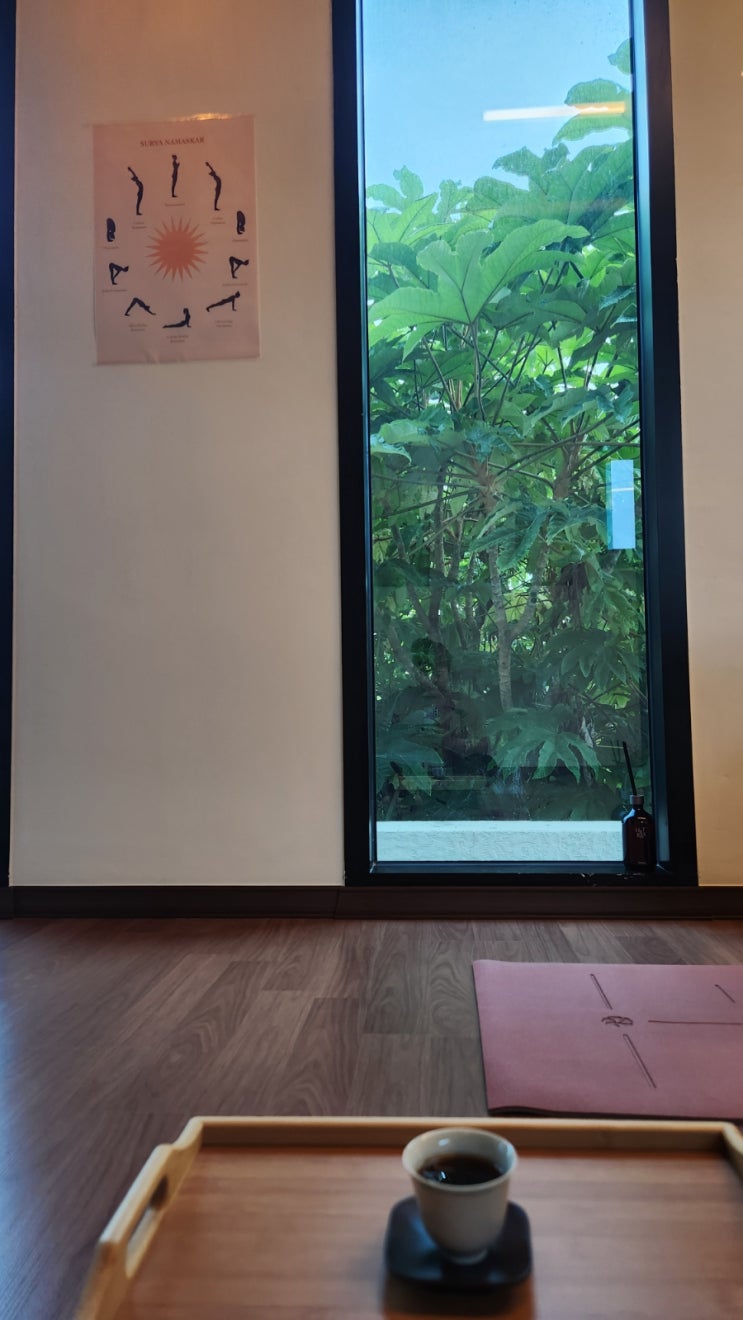 제주 바다요가 원데이, 은하요가 추천
