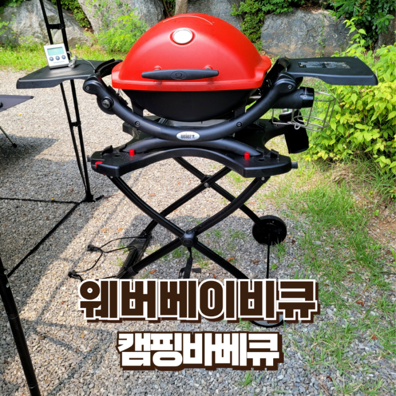 웨버 베이비큐 Q1250 5년 사용후기 가스그릴로 바베큐