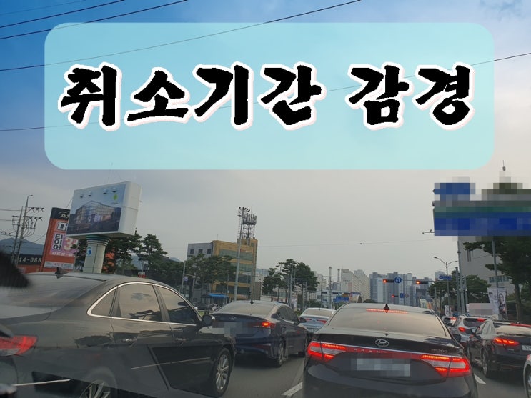  보령 음주운전 행정사 면허 구제 취소 기간 감경