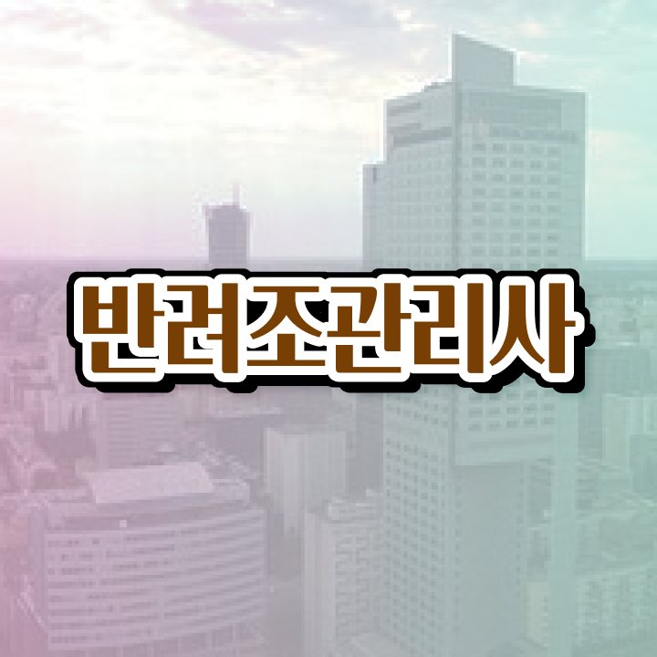  모란앵무 새장 , 반려조관리사 자격증 합격한 비법 여기만 보세요