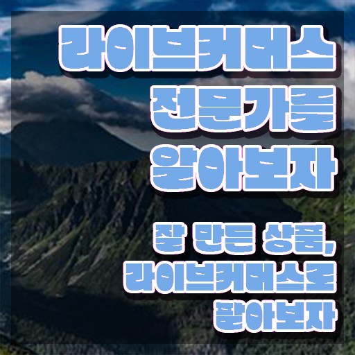  라이브커머스전문가 추천 , 라이브커머스전문가 자격증 1달 만에 학습한 후기 , 취업정보