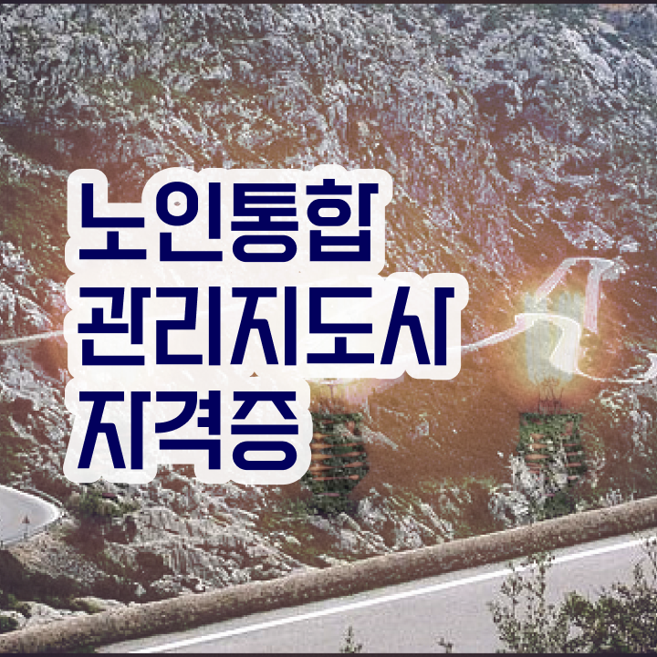  인산서노인통합관리지도사1급 , 노인통합관리지도사 취득 정보 , 채용현황