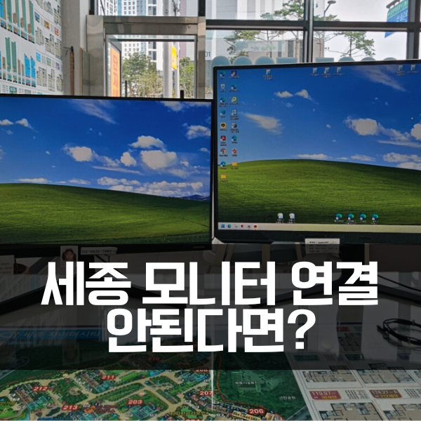  세종 모니터 DP 연결, 호환성 체크 안 하면 돈 날립니다.