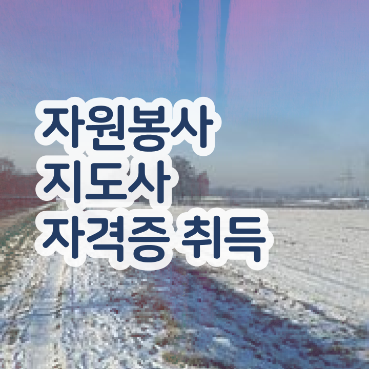  자원 봉사시간 , 자원봉사지도사 자격증 쉽고 간편하게 합격한 전략 , 취업정보
