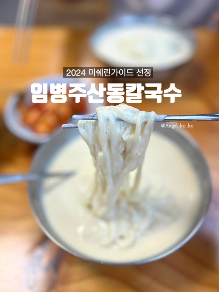  미슐랭 콩국수 맛집 양재역 임병주산동칼국수 미쉐린가이드서울 2024