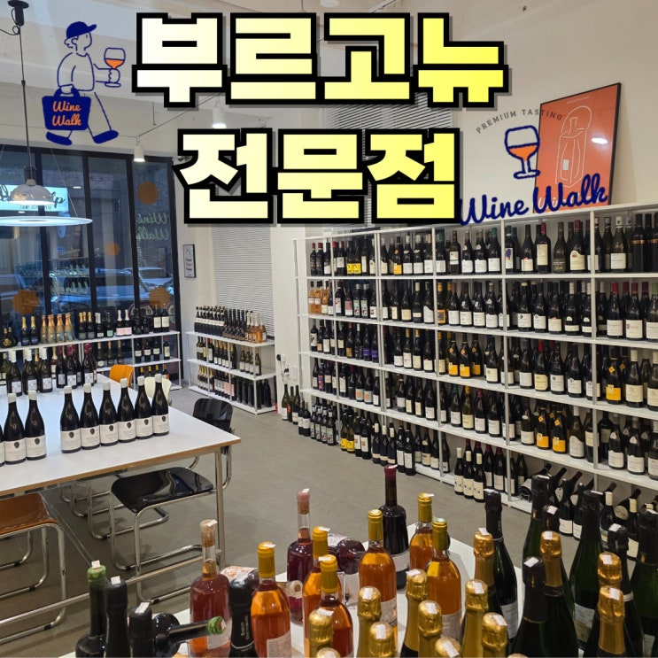  대전 유성 와인샵 부르고뉴 프리미엄와인 와인워크 후기 (+와인 매너클래스)