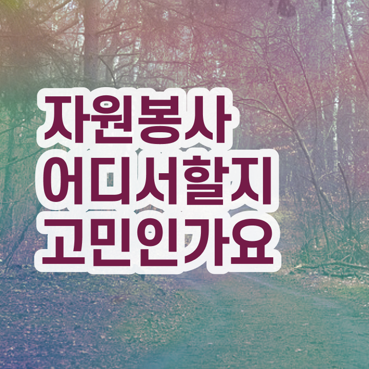  자원봉사지도사 연봉 , 자원봉사지도사 자격증 20일 만에 취득한 정보 , 취업정보