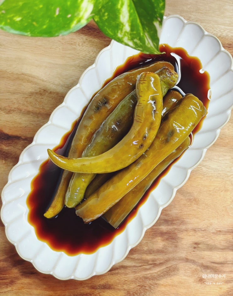  고추장아찌 레시피 만들기 청양 매운고추요리 간장고추장아찌 담그는법
