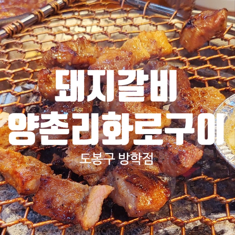 양촌리 화로구이 방학점 가족 외식으로 메뉴가 다양한 곳