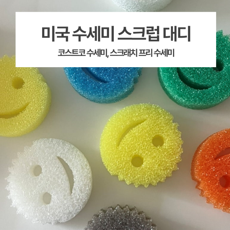  주방 필수템, 미국 수세미 / 미국에서 유명하다던 수세미인 스크럽대디! 선물로 받아 써보고 코스트코에서 재구매 했어요~