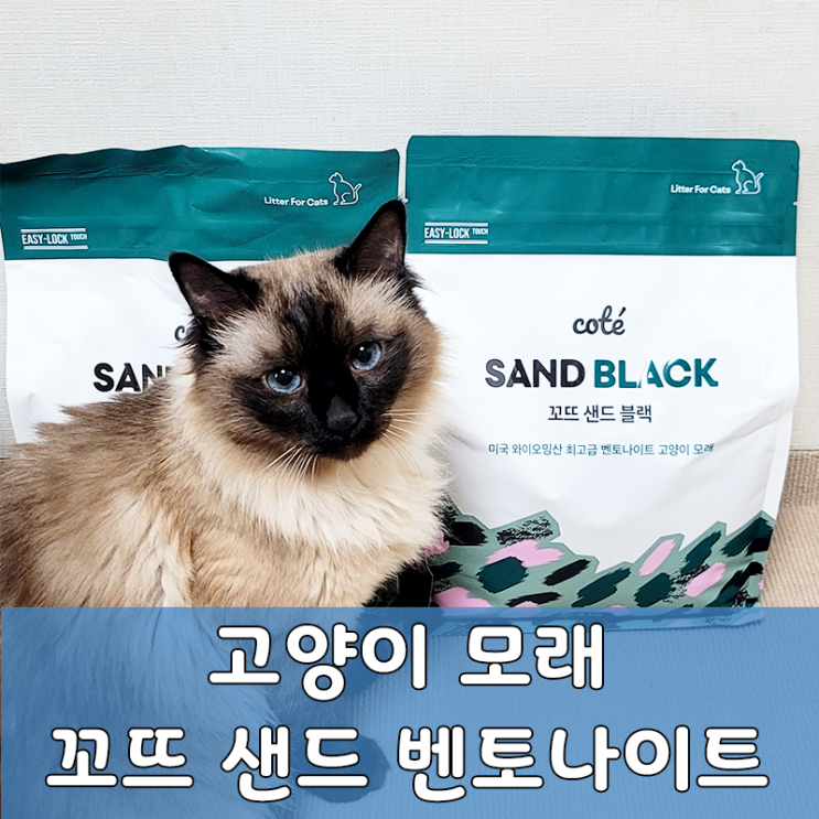  먼지 없고 응고력 좋은 꼬뜨 샌드 블랙 벤토나이트모래 추천