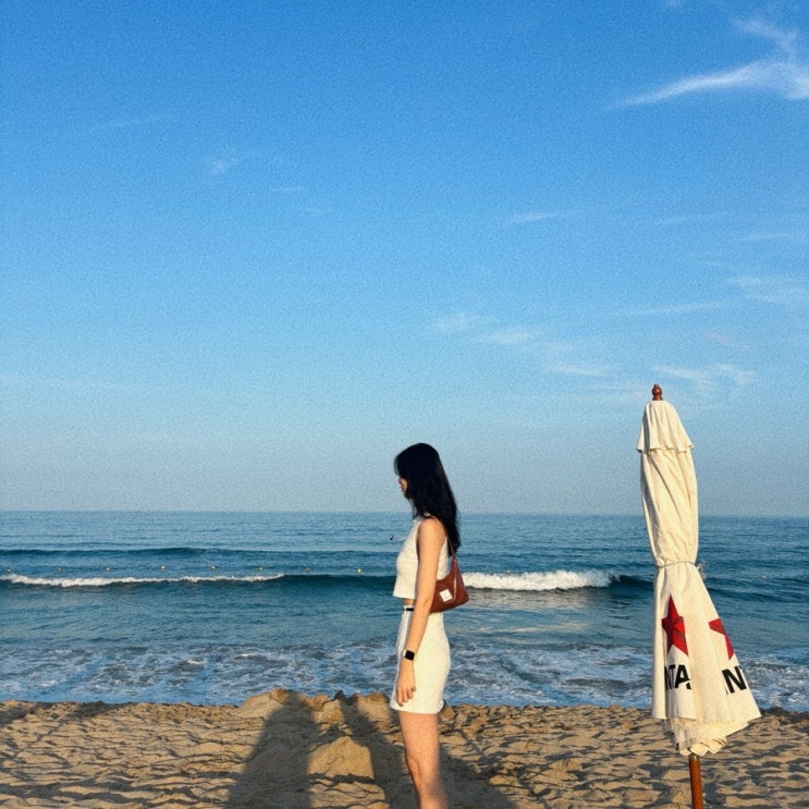  양양 와이비자 솔게스트하우스 서핑 풀파티 찐후기