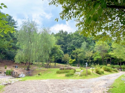 사진 6