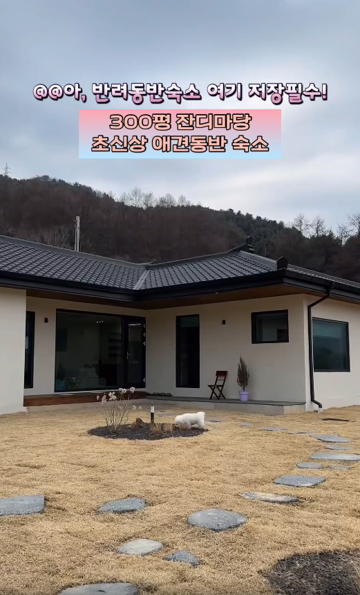 안림가