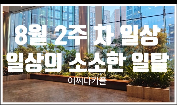  바쁜 일상 속 일탈, 물놀이와 공연까지 꽉 채운 8월 2주 차 일상기록