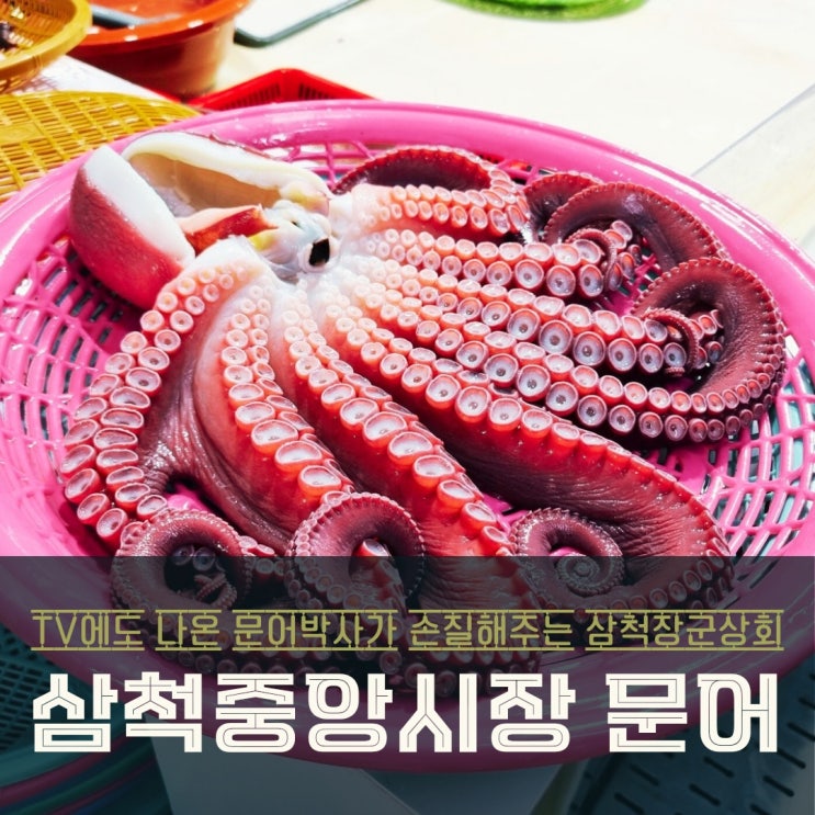  삼척 중앙시장 문어 포장 장군상회 따봉~