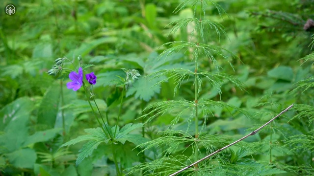  수산물 품질관리사 자격증 , 초단기 준비한 팁
