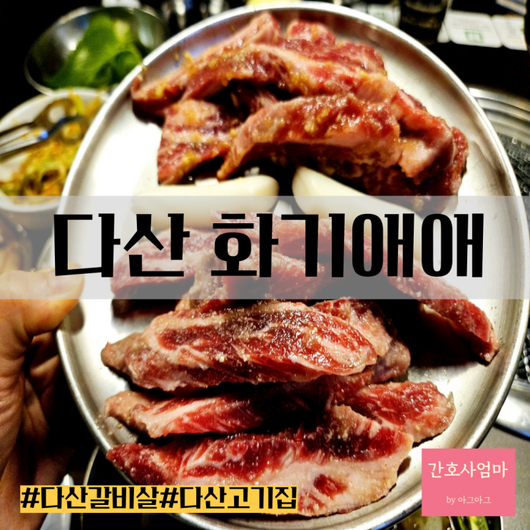  남양주 다산맛집 화기애애 소갈비살 애견동반 현대아울렛맛집