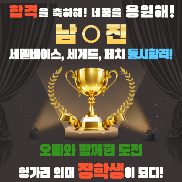  오빠와 함께한 도전 : 헝가리 의대 장학생이 되다!