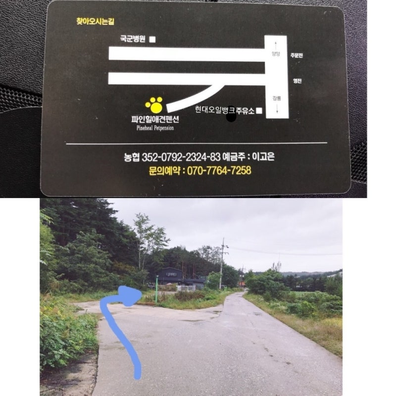 사진 7