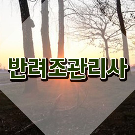  애완조류 , 반려조관리사 자격증 단기간에 학습한 후기 , 취업 전망