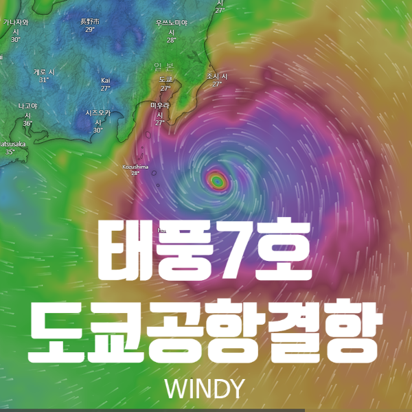  [태풍]  일본 7호태풍 결항_하네다 23시.나리타05시 재개(예정)