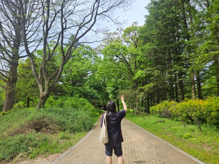  포천 국립수목원 광릉수목원 경기도 당일치기 여행 가볼만한곳 추천