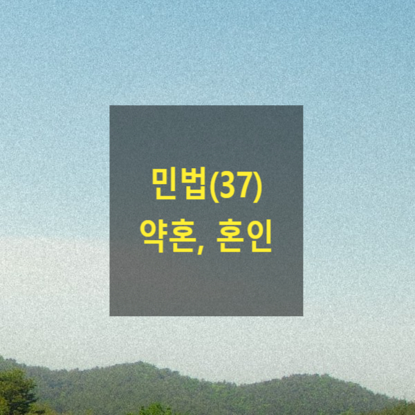  핵심만 알아보는 민법(37) - 약혼, 혼인(혼인신고, 외국, 혼인적령, 동의, 근친혼, 중혼, 혼인무효, 취소, 부부공동생활, 성년의제, 부부재산계약, 일상가사대리권, 연대책임)