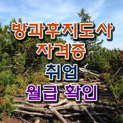  국비지원 자격증 추천 , 방과후지도사 혼자서 독학으로 준비했던 꿀팁 모음