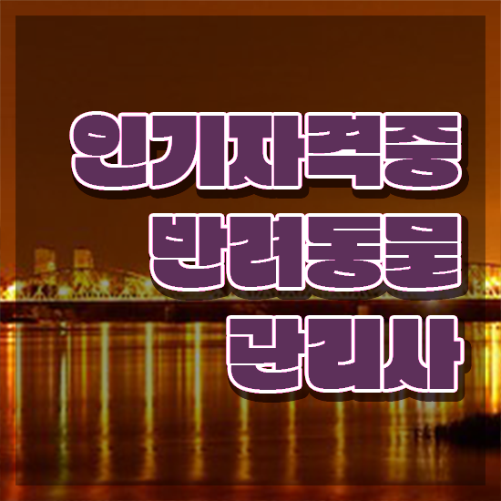  반려견동물관리사 , 반려동물관리사 자격증 독학으로 취득한 과정 알려드립니다