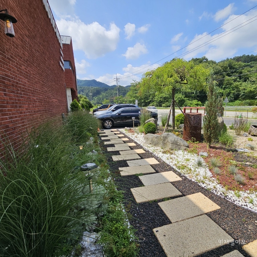 Rosakape photo 5