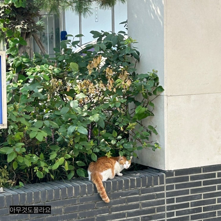  24년 8월초 포토덤프 1