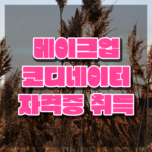 대전메이크업학원 , 메이크업코디네이터 자격증 20일 만에 취득했던 후기 짚어드려요
