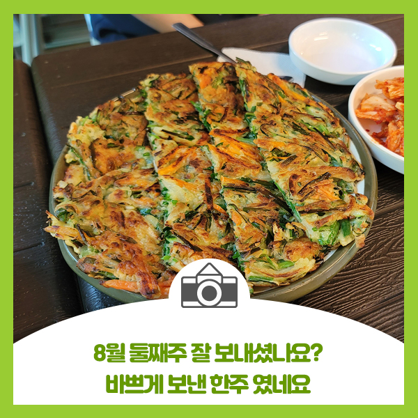  8월 둘째주 잘 보내셨나요? 바쁘게 보낸 한주 였네요