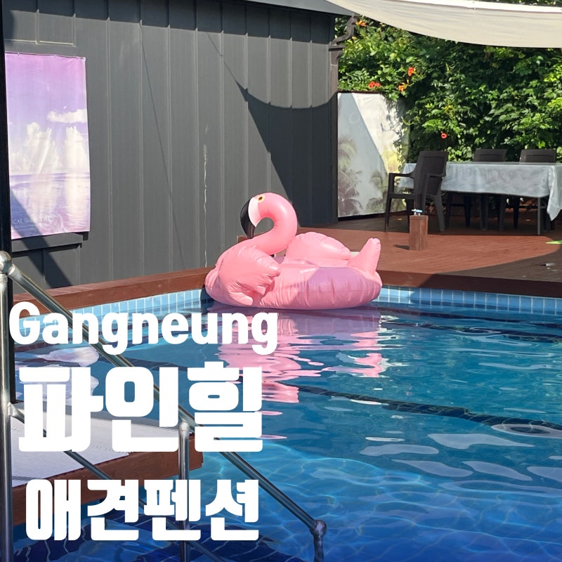 파인힐애견펜션