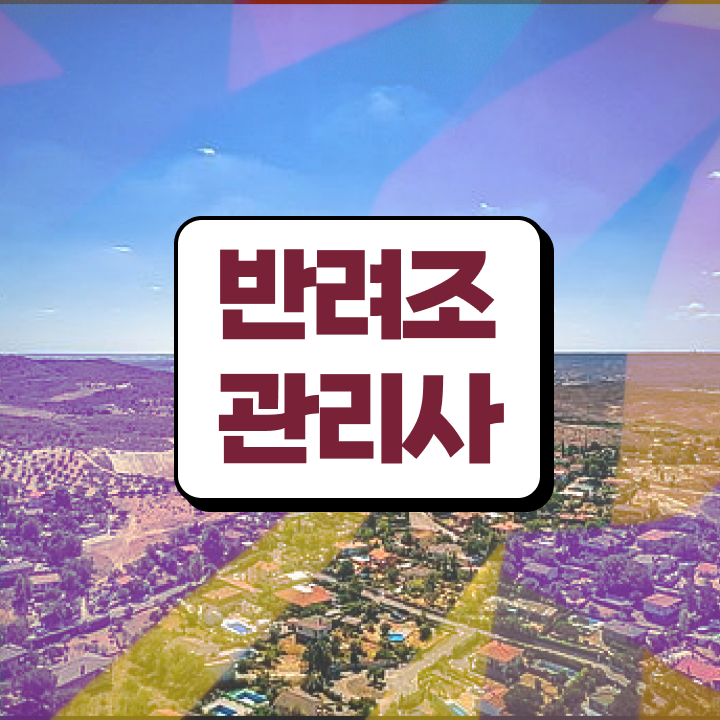  코뉴어 앵무새 분양 , 반려조관리사 자격증 취득한 과정 핵심 정보 정리