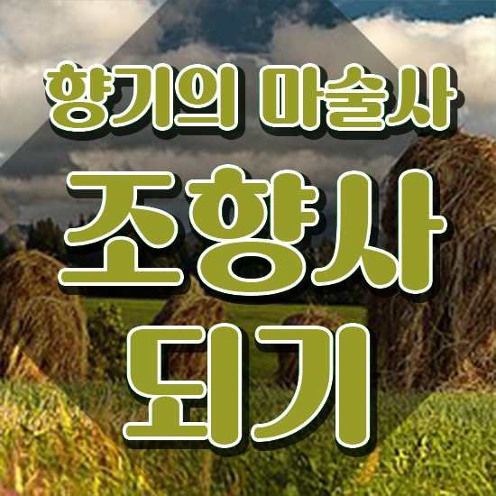  공기업자격증추천 , 조향사 고졸 비전공자도 온라인 수업만으로 초단기 성공한 후기
