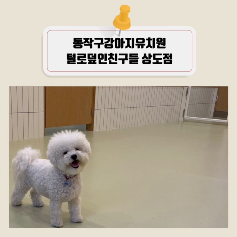 털로덮인친구들 서울상도점