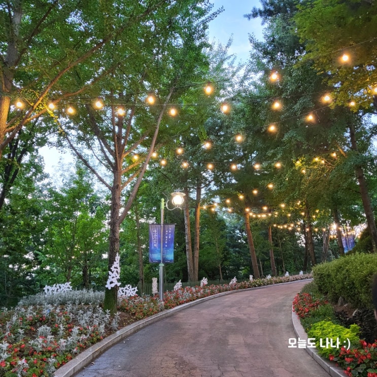  용인농촌테마파크 원두막에서 먹는 보쌈 도시락! 용인농촌테마파크 야간 산책 (8월 15일 ~ 8월 18일)