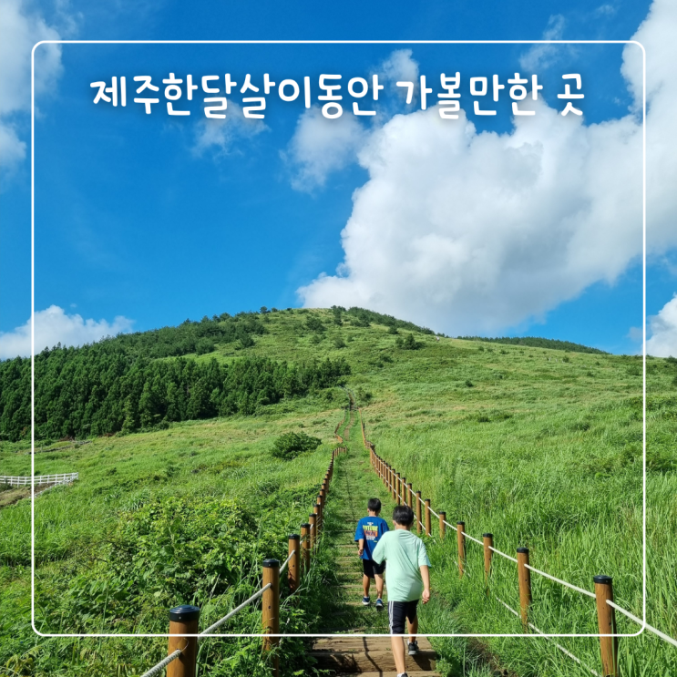  여름 제주한달살이 여행지 추천