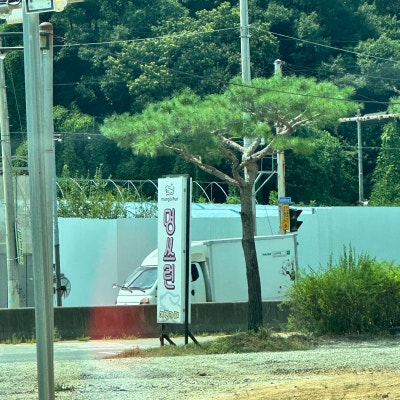 사진 5