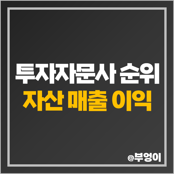 투자자문사 순위 국내 자문사 일임사 자산 매출액 자본금 당기 순이익 투자자문사 순위 국내 자문사 일임사 자산 매출액 자본금 당기 순이익