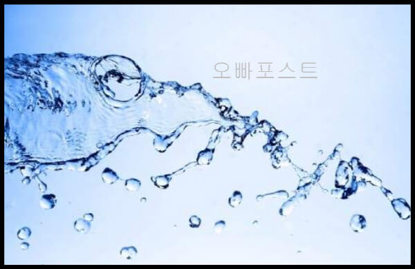  히알루론산 영양제, 피부 건강 촉진과 부작용 고민