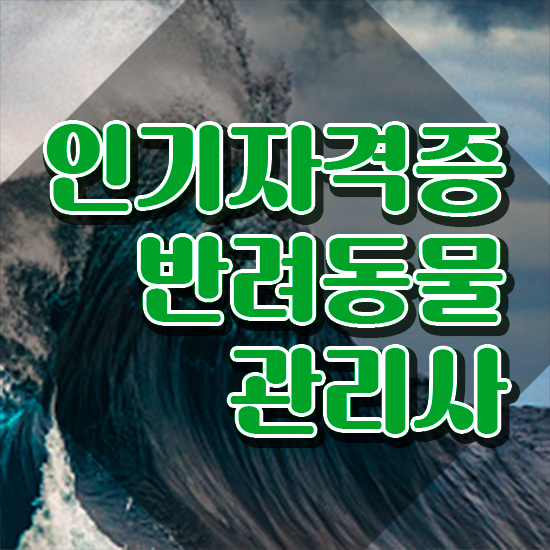  반려견 자격증 종류 , 반려동물관리사 자격증 준비한 방법 체크해보세요